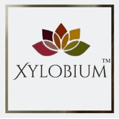 Xylobium